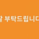 부천명문태권도 이미지