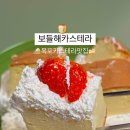 목포베이커리카페 보들해카스테라 카스테라 빵택배 솔직후기