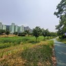 삼향천3 이미지