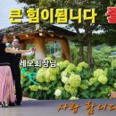 레오댄스 이미지