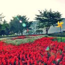 대공원대로, 대공원광장대로 이미지