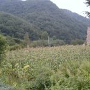 법흥2리 이미지