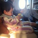 787 | 대한항공 인천 후쿠오카 KE787 기내식 저염식 유아식 후기