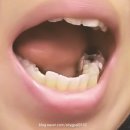 마산아구타운 이미지