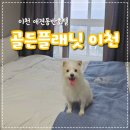 여기조아호텔 | 이천 애견동반호텔 골든플래닛 다녀온 내돈내산 후기