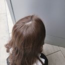 연남 헤어샵 미누 탈색 없이 애쉬브라운 염색 추천 후기, 홍대 연남동 미용실 밀크브라운 애쉬브라운 염색