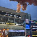 술마실고양 이미지