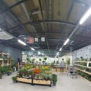 와스타디움(롯데마트) 이미지