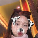 궁전라파 이미지