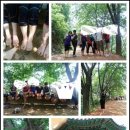 비래사약수터 | [ 대전여행 ] 계족산, 황톳길, 계족산성, 등산로