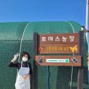 토마스농장 이미지