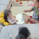 이가공구 | 내돈내산 인스타 공구로 구매한 육아용품 비추천 추천 리스트