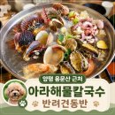 양평 강아지와 갈 수 있는 맛집 1순위 아라해물칼국수 용문산 근처 내돈내산 찐맛집 후기