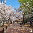 율하광장 반계공원 이미지