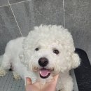 소원미용실 - 용인시 처인구 중부대로 1437 | 소원미용실