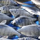 선영민박 이미지