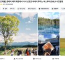주식회사 한트립투어 | 삿포로 비에이 후라노 버스투어 인디고트래블 vs 엔데이트립 비교 추천 후기