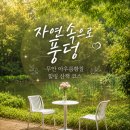 전남 무안 가볼만한곳 아우룸황칠, 자연 속으로 풍덩 들어간 산림욕 후기