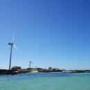 하도리 보통날 이미지