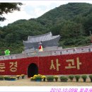 마이오이소