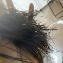 헤어블레스 | 잠실미용실 클리닉맛집 ‘블레스헤어’ 방문후기