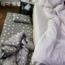 신길로37길 이미지