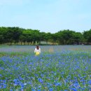 태신목장 이미지