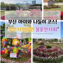 나들이 | 부산시민공원 봄꽃전시회 다녀온 후기｜부산 아이와 나들이·부산 봄꽃 나들이 코스 추천