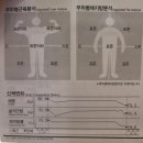 비나이더 피트니스(사동점) | 경산pt 사동pt 대구pt 20대 대학생 개인pt 후기 / 근력증가, 체형변화, 멸치탈출