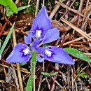 장흥농협송추지점 | 기암괴석奇巖怪石의 절경絶景 전남완도 금당도金塘島 트레킹 (2026/04/18)