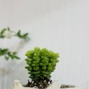 흙미술학원 이미지