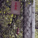 설렘 호스텔 이미지