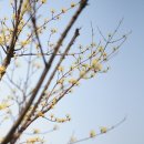 경기도립 중앙도서관 이미지