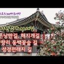 붉은낭만길 이미지
