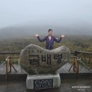 야생화 민박 | 강원도 점봉산 곰배령 우중 트레킹(사전 예약필수)