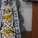 마곡꽃과나무 이미지