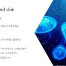 에이필드 이미지