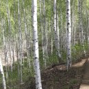 아름풍경펜션 이미지