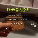 충남땅콩 | 국내산 쌀 100% 태안노을 땅콩샌드 & 땅콩쿠키 솔직 후기! 건강한간식으로 딱!