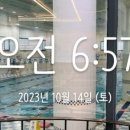영스포츠타운