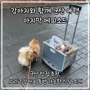 군산 맛집 째보 식당, 키친후가 / 강아지 동반 맛집 루루 순대, 군산 칼국수 보쌈