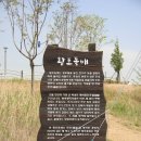 레포츠킹 이미지