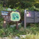 절영마 및 조내기를 이미지