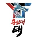 용인대 태권 Fighting 이미지