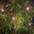 준펜션 | 숙소] 30명이상 단체 가능한 / 수영장, 계곡, 풋살장까지 있는 단체펜션 - 준179펜션 내돈내산 솔직후기