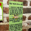 채선당(신촌점) | 신촌 연대 건강식 샤브샤브 맛집 채선당 후기