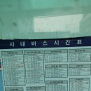 세븐일레븐 대천중앙점