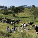 관광농원 이미지