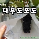 다은농원