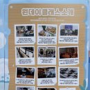 행운동-28 이미지